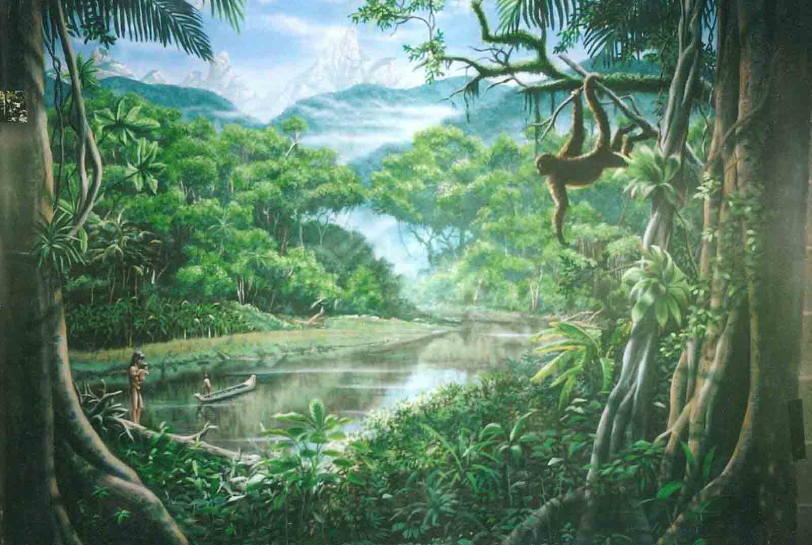 Vẽ tranh tường rừng nhiệt đới - ảnh 6